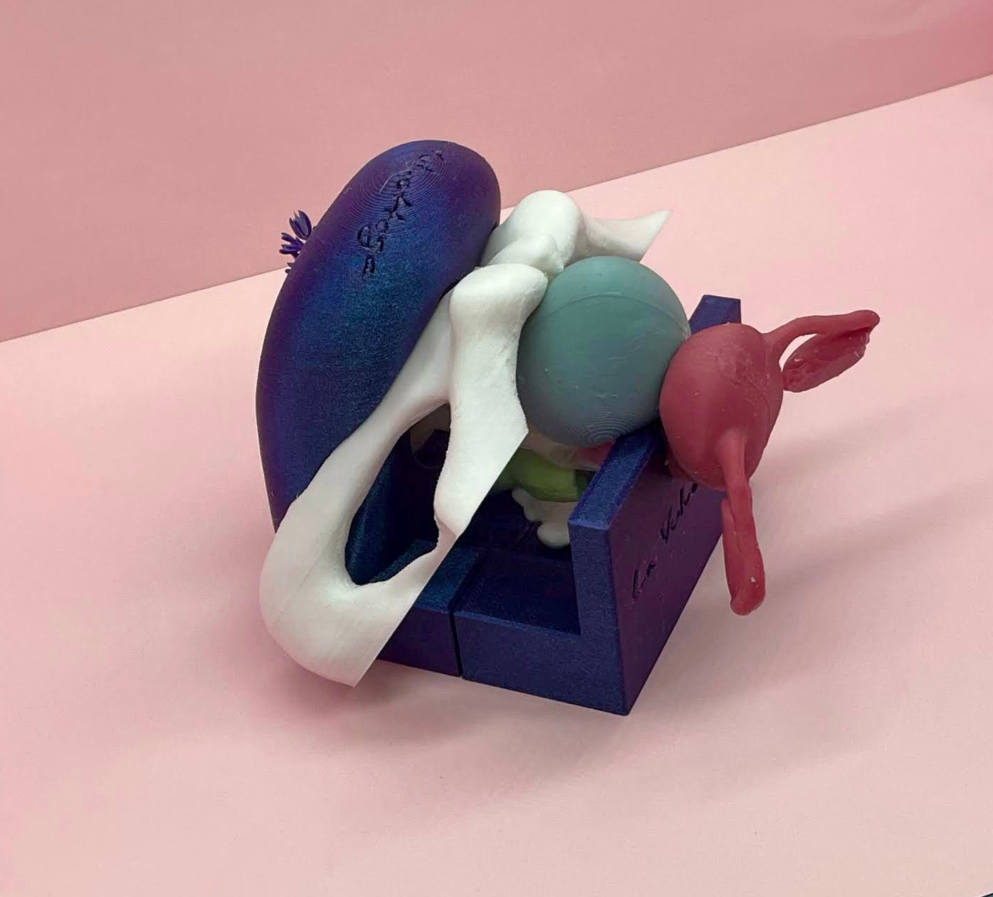 Modello anatomico 2.0 CON Vulvetta