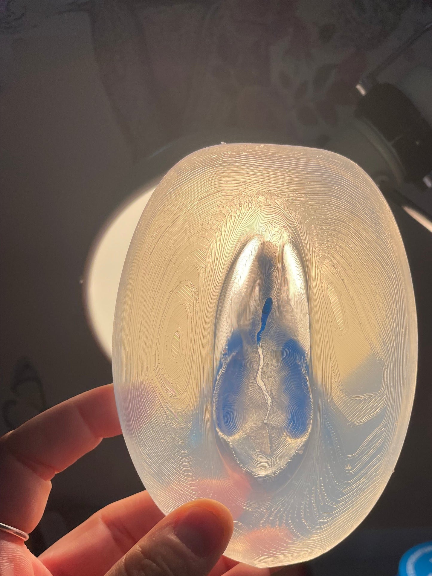 Vulva con Clitoride rimovibile