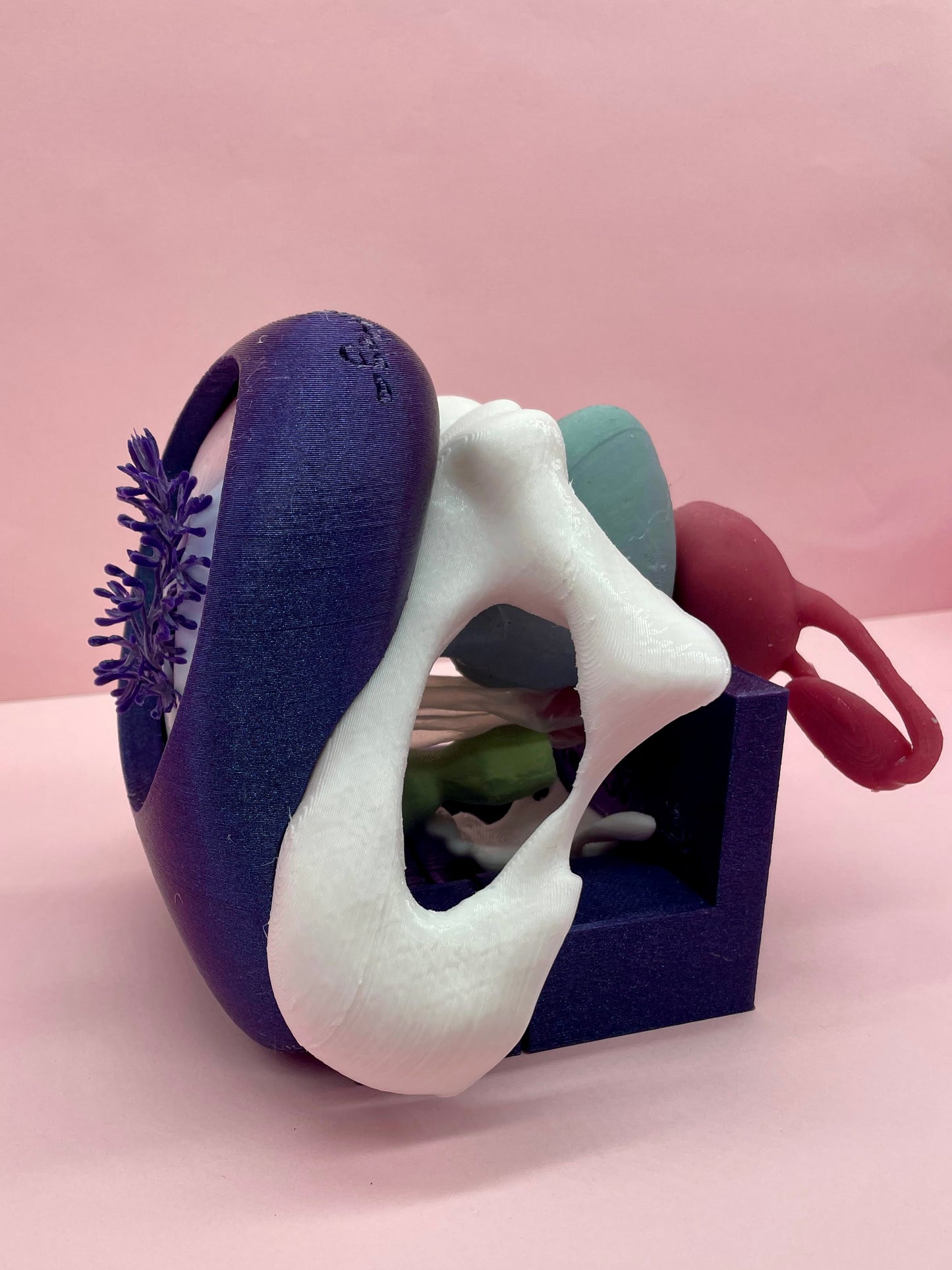 Modello anatomico 2.0 CON Vulvetta