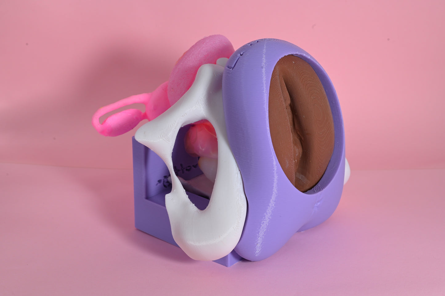 Modello anatomico 2.0 CON Vulvetta