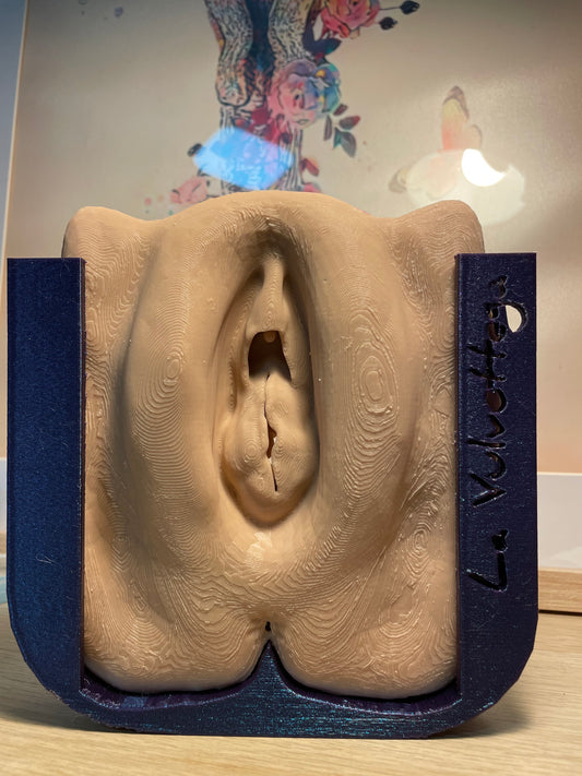Vulva CON stand frontale