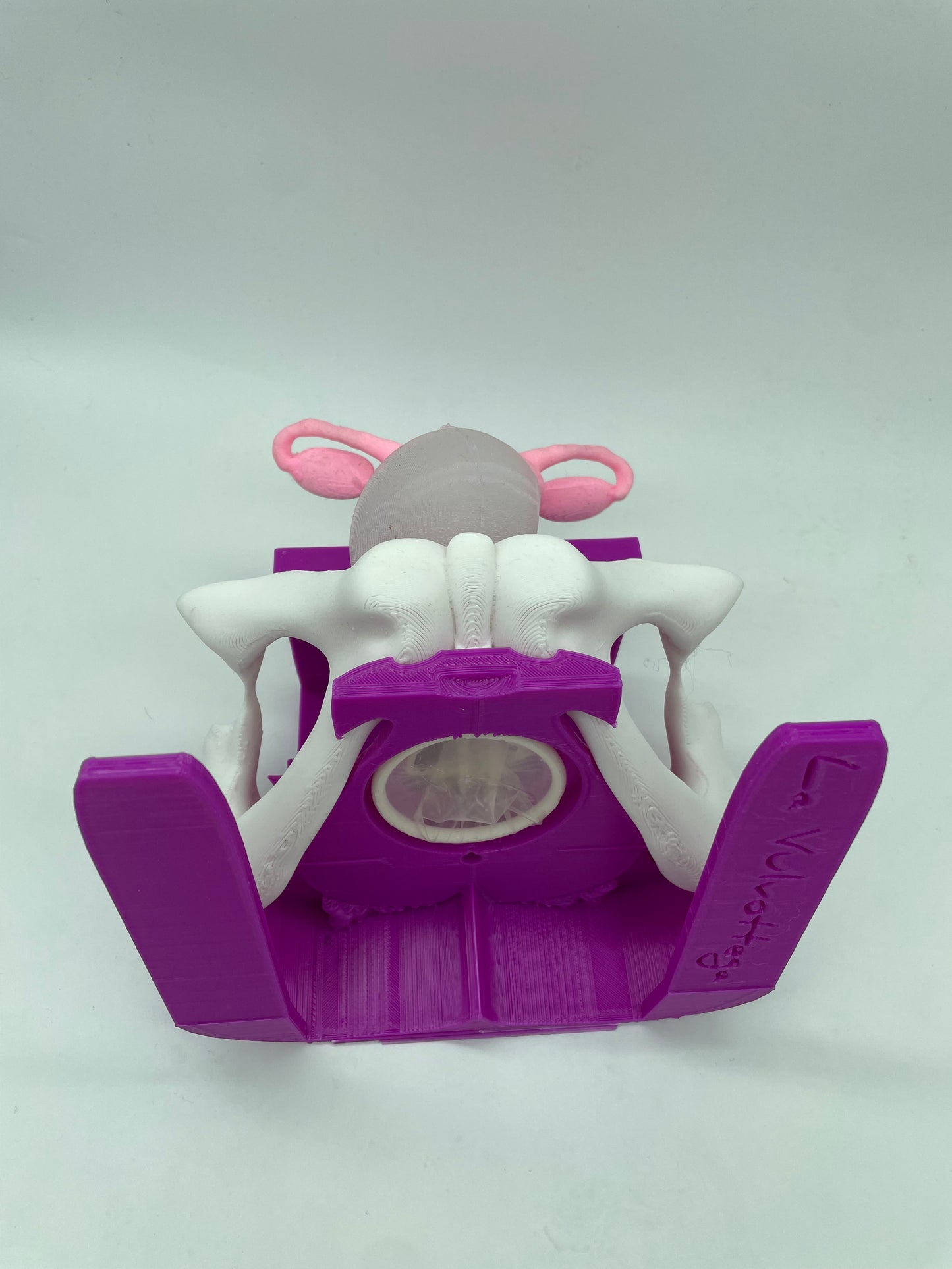 Modellino 2.0 SENZA Vulva "grande"