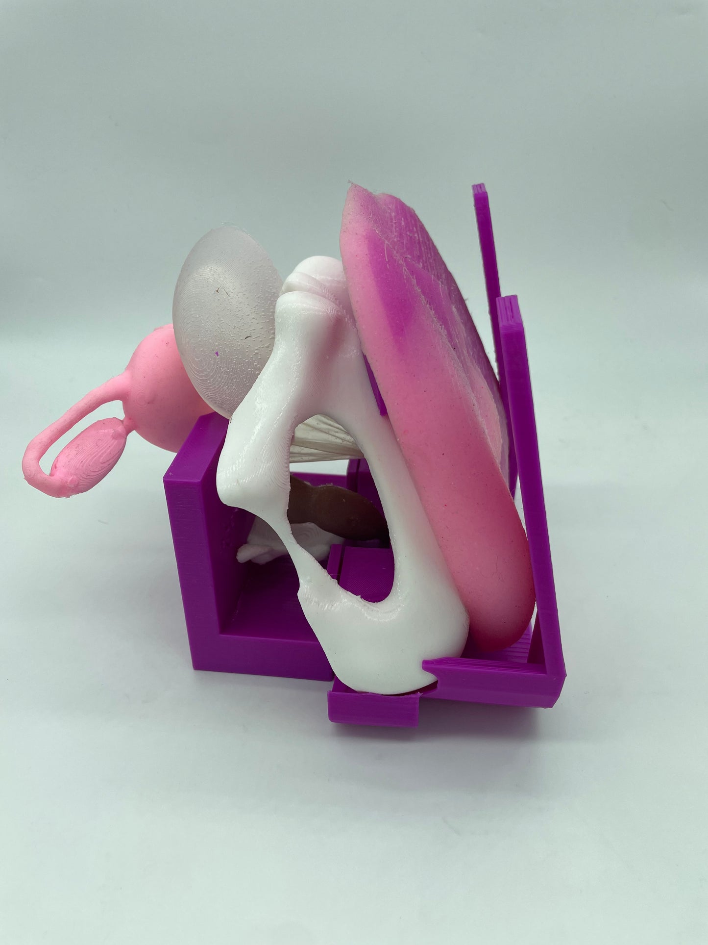 Modello anatomico 2.0 CON Vulva "grande"