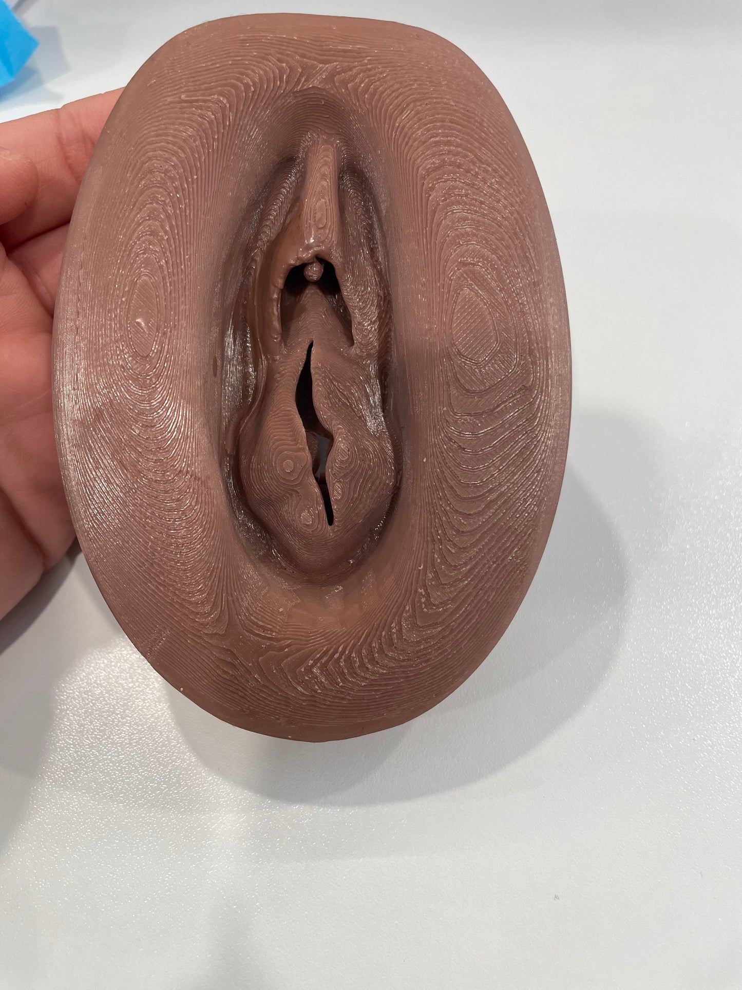 Vulva "grande"