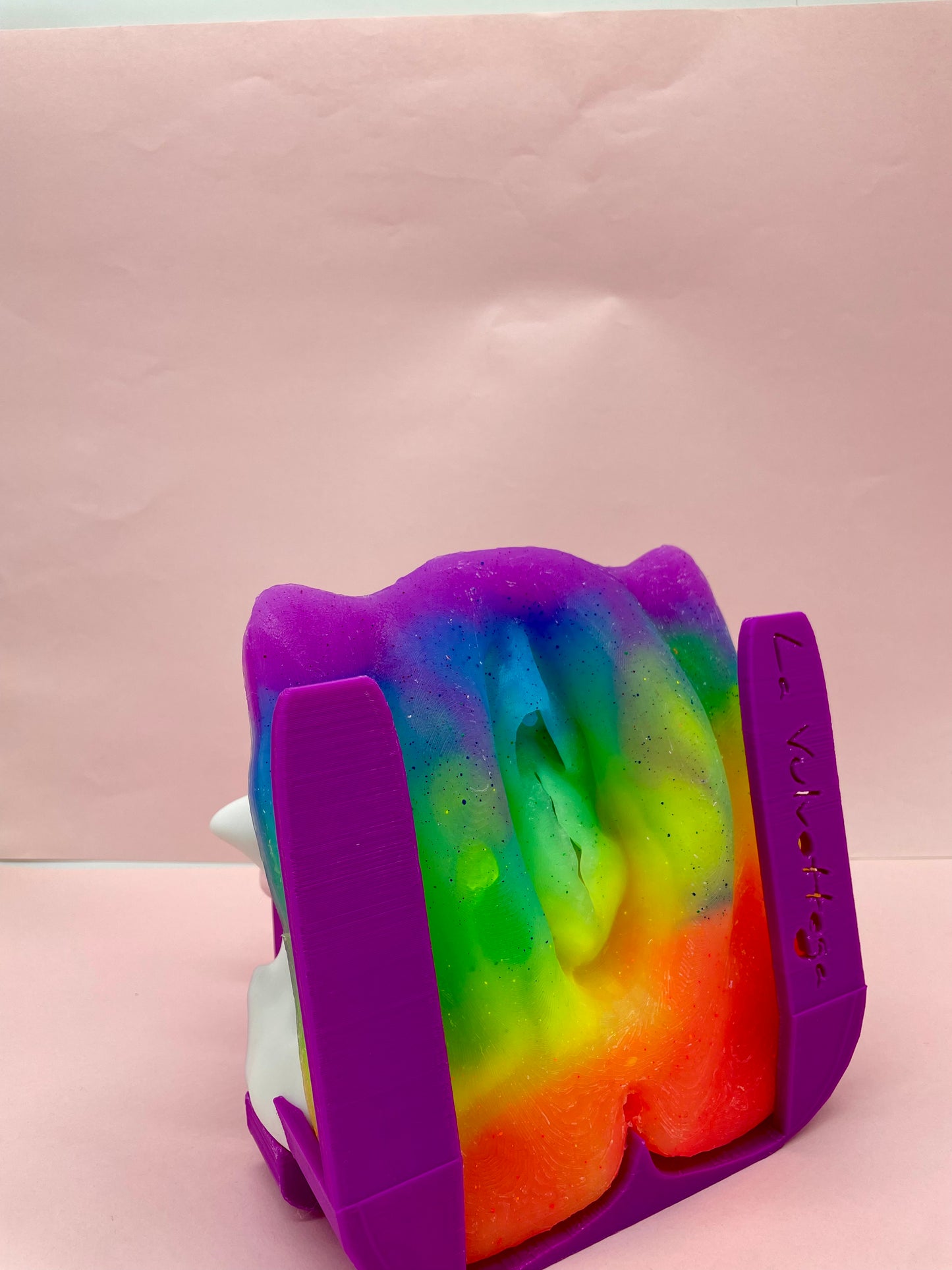 Modello anatomico 2.0 CON Vulva "grande"