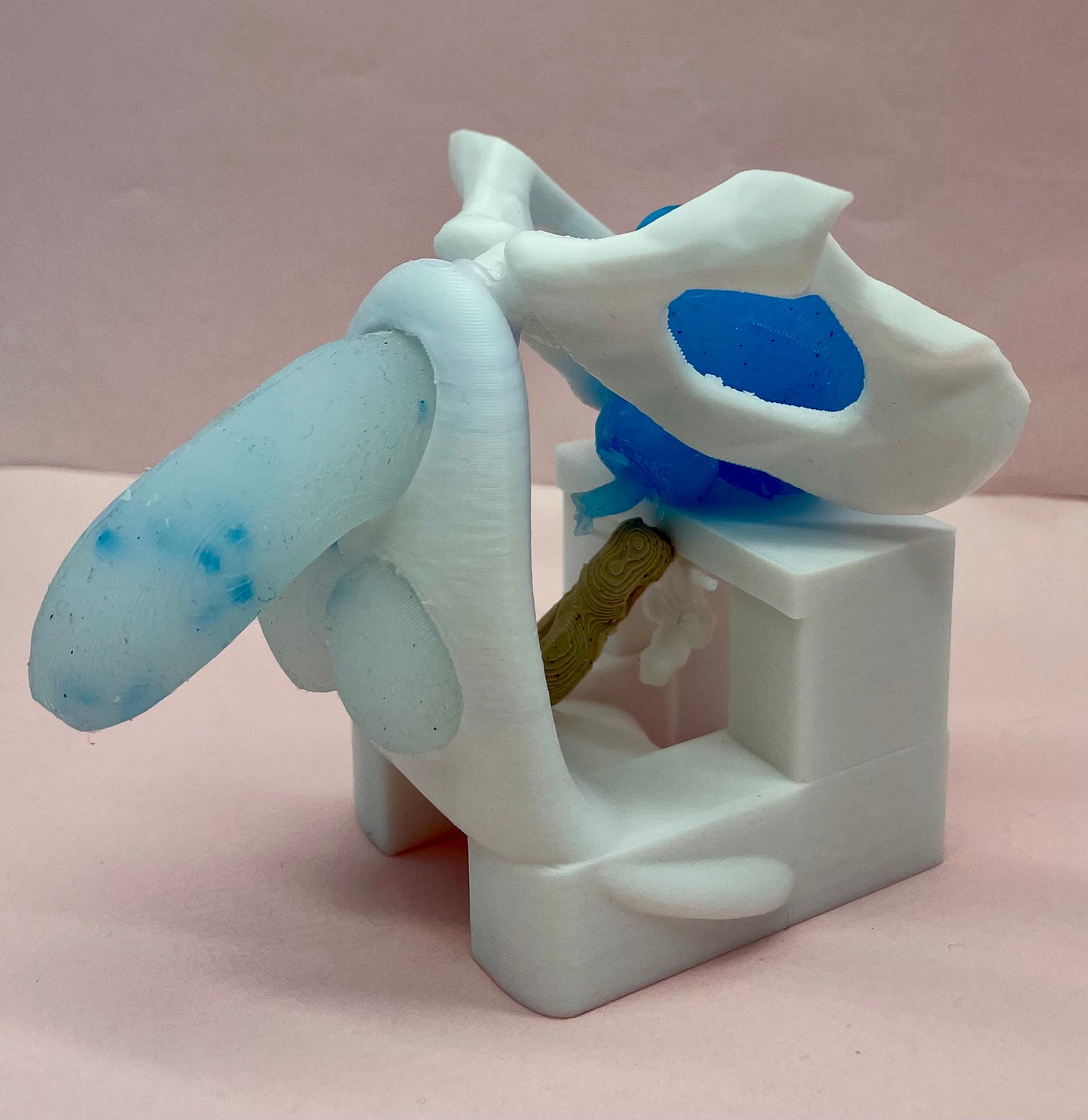 Modello anatomico maschile