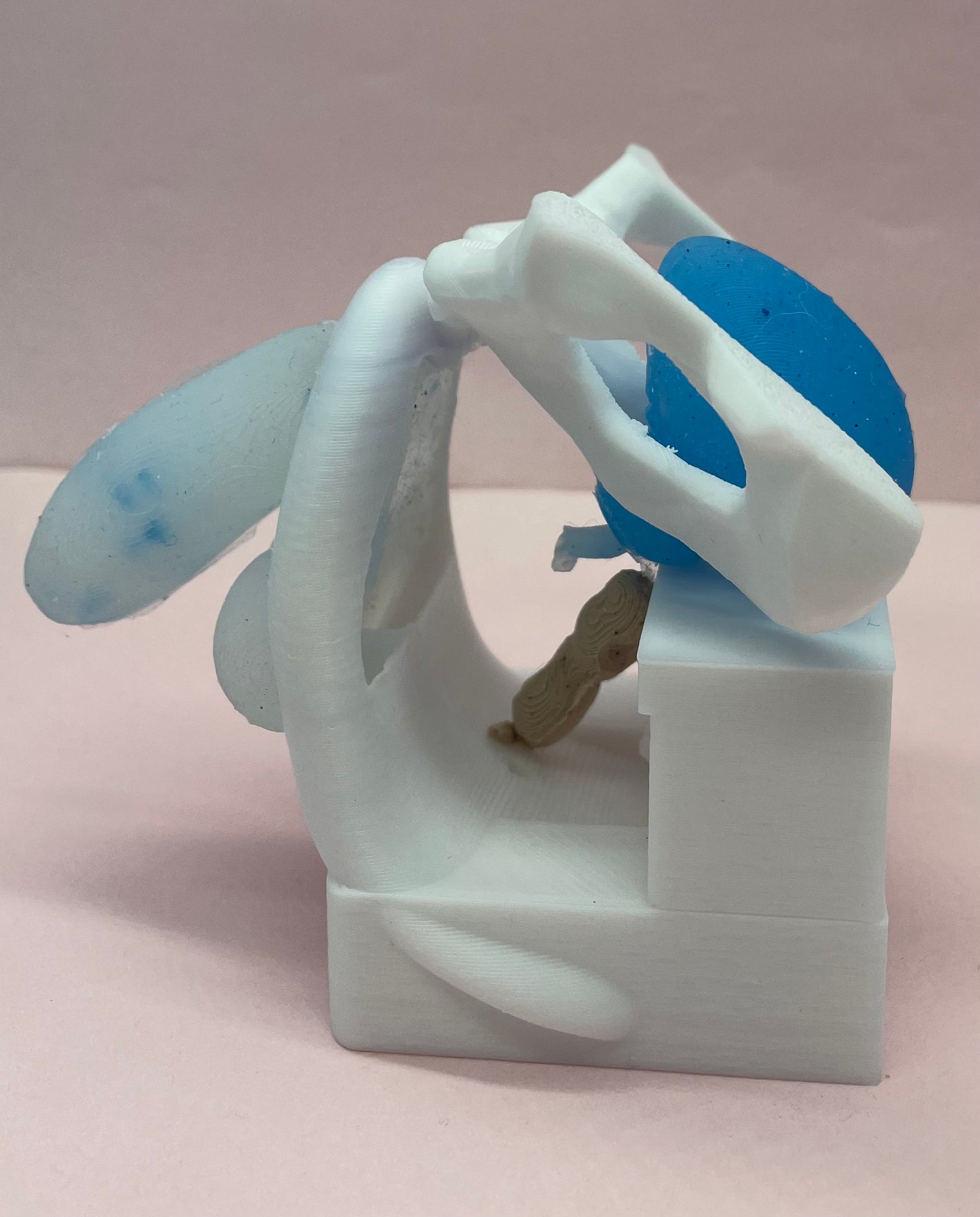 Modello anatomico maschile