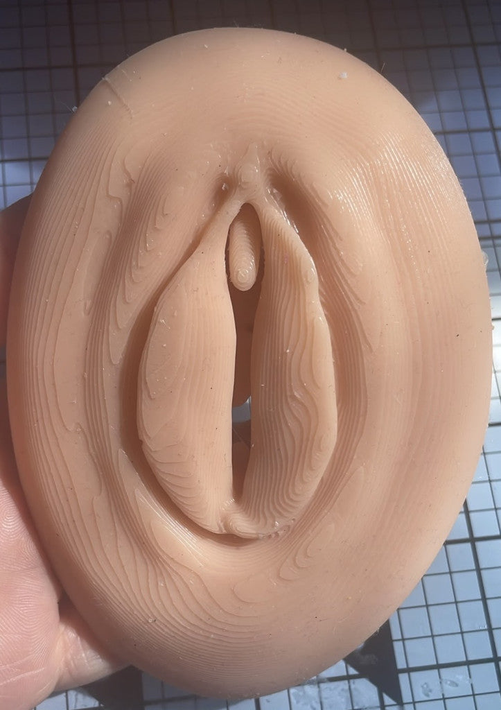 Modello didattico Vulva