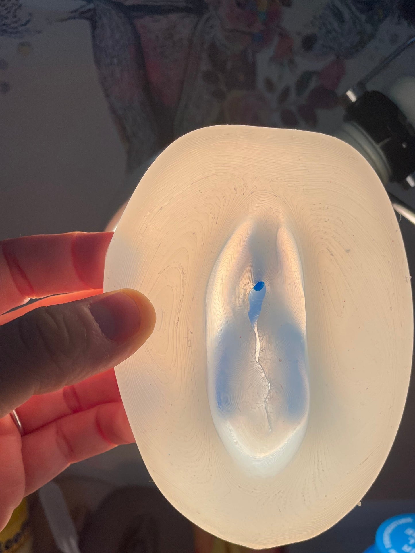 Vulva con Clitoride rimovibile