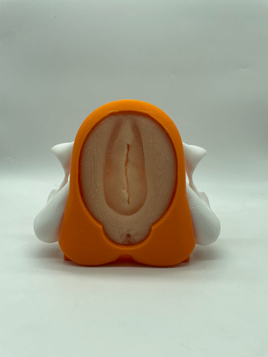Modello anatomico COMPATTO con Vulva