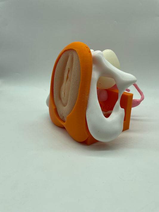 Modello anatomico COMPATTO con Vulva